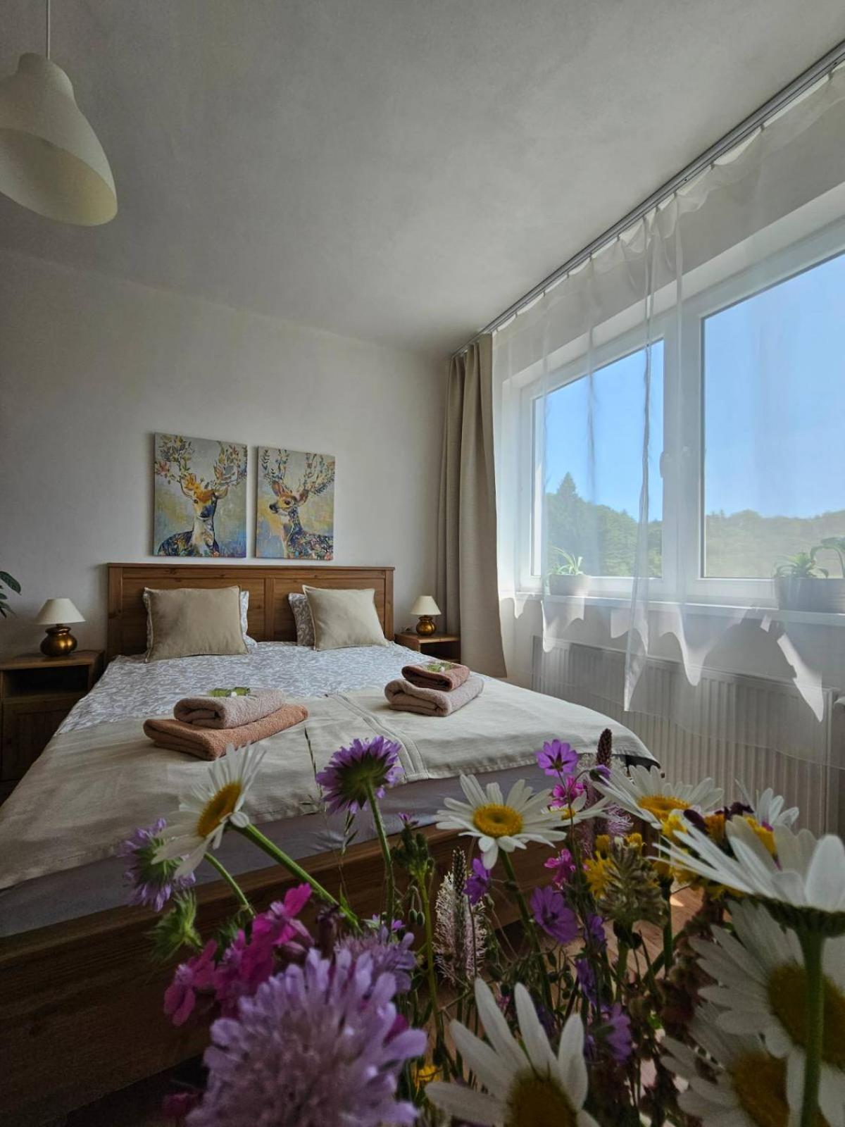 Villa Paradajs - Ubytovanie Pri Jazere Banská Štiavnica Esterno foto