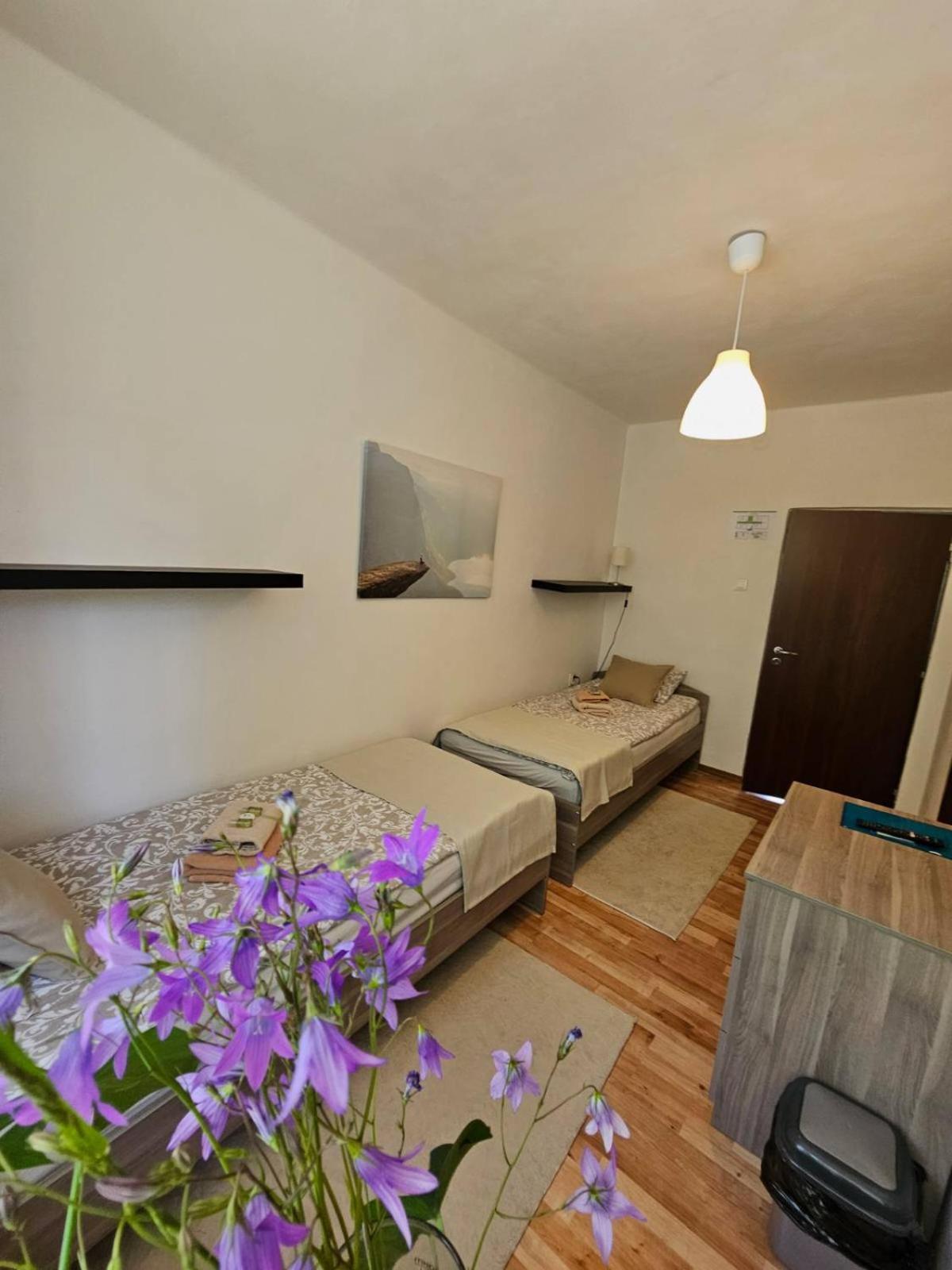 Villa Paradajs - Ubytovanie Pri Jazere Banská Štiavnica Esterno foto